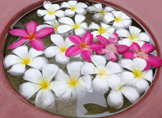 Obraz na płótnie Canvas Plumeria petals in the tub