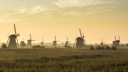 Obraz premium Kinderdijk in the morning with fog