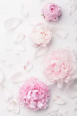 Fotobehang Pioenrozen beautiful pink peony flower background  © Olga Miltsova