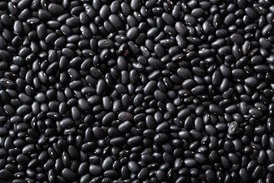 black turtle beans legumes background