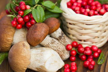Obraz na płótnie Canvas mushrooms and a basket of cranberries, close up