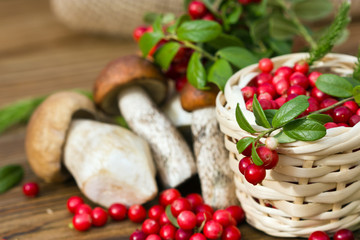 sprig of cranberries lying on a basket filled with red berries, on a background of mushrooms