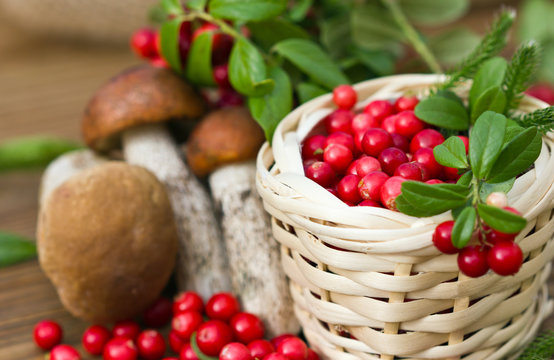 sprig of cranberries lying on a basket filled with red berries, on a background of mushrooms