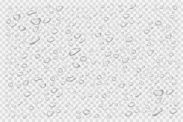 Vector set of realistic isolated water droplets on the transparent background. - obrazy, fototapety, plakaty