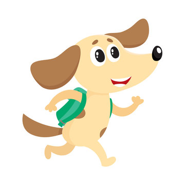 Cute little dog, puppy student character with backpack hurrying to school, cartoon vector illustration isolated on white background. Little dog, puppy student with backpack, back to school concept