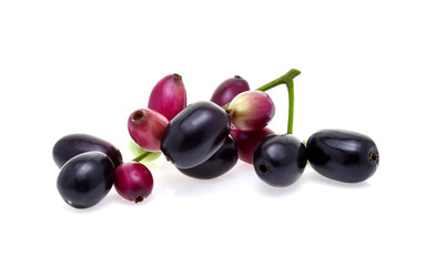 Jambolan plum or Java plum on white background