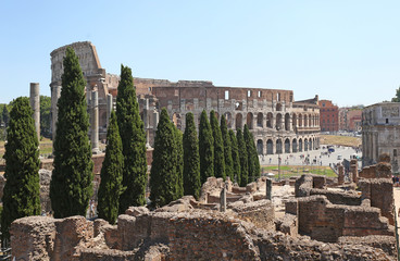 Fototapeta premium The Coliseum in Rome among the ruins and cypresses