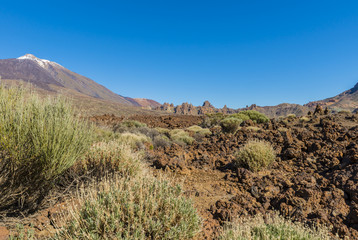Lava Field with El Teide