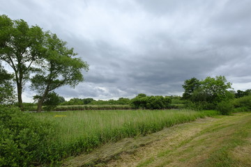 An der Wümme zwischen Nordseite und Lilienthal