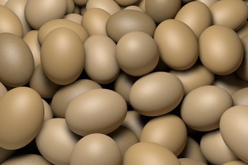eggs