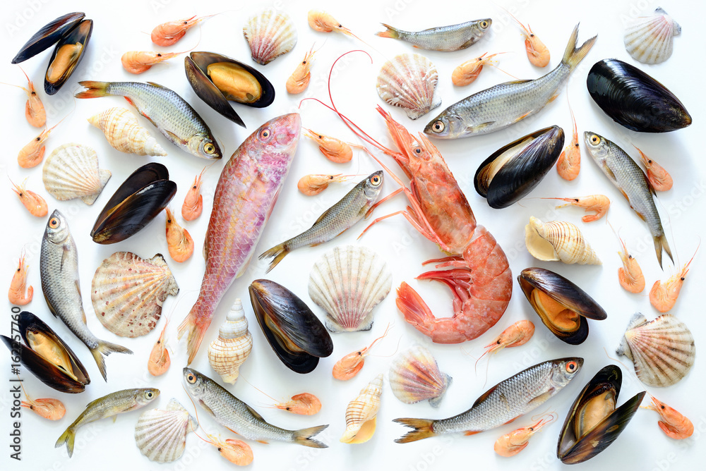 Wall mural sea food composition