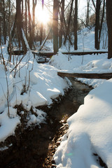 Beautiful Winter Landspace. In Sunny Winter Public Park Flowing Stream.