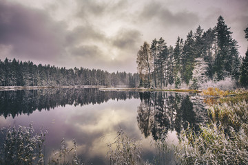 Idyllic landscape with lake and forest in early winter.