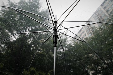 Transparent umbrella in rainy day 
