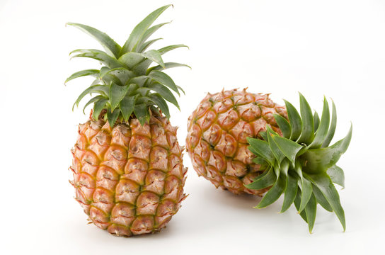 パインアップル Images Browse 1 436 Stock Photos Vectors And Video Adobe Stock パインアップル Images Browse 1 436 Stock Photos Vectors And Video Adobe Stock