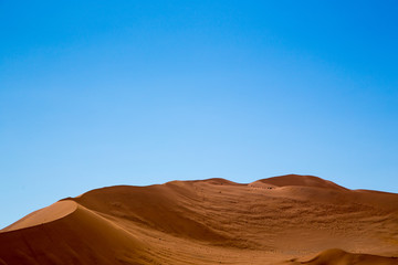 Fototapeta na wymiar Big mama dune Namibia