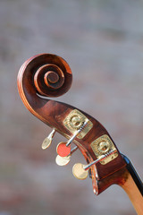 Violoncello