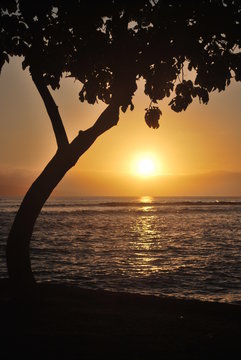 Sonnenuntergang Maui 3