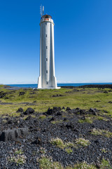 Lighthouse Londrangar with Flowers