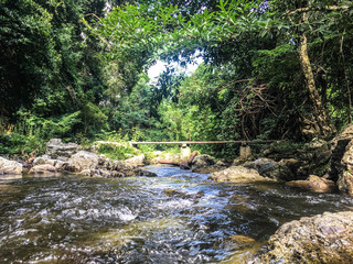 Waterfall with Scabies in Rainforest Area