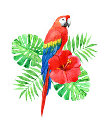 Red macaw parrot with palm leaves, tropical flower isolated on white background, watercolor illustration © v_paulava