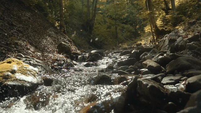 Beautiful forest water flow with river stones, static landcape nature of Ukraine mountains, 120FPS slowmotion