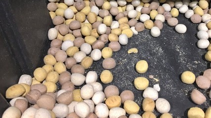 Kekse und Plätzchen für Hunde und Katzen