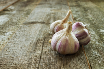 Bulbs of garlic close-up