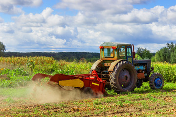 small tractor working in the field. smallholder agriculture