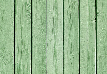 Fototapeta premium Green color wooden fence pattern.
