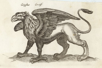 Folklore - Gryphon. Date: circa 1650