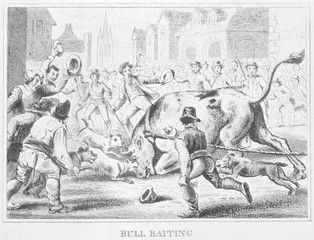 Bulldog - Baiting Bull1816. Date: 1816