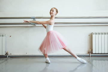 Cute little ballerina in pink ballet costume and pointe shoes is dancing in the room. Kid in dance...
