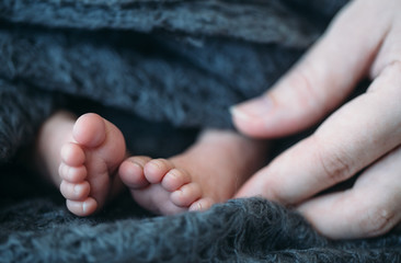 newborn Feet. Children concept