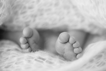 newborn Feet. Children concept