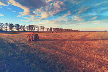 Vintage field landscape in Europe, Poland. Beautiful rural sunset landscape.