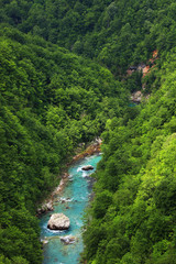 Tara Canyon in Montenegro, Europe