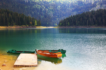 Mountain lake and evergreen coniferous forest, Durmitor, Montenegro, Europe