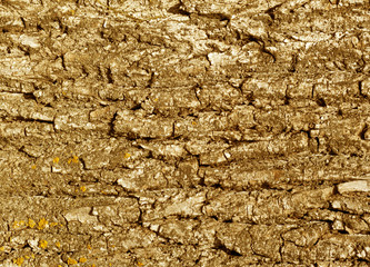 Tree bark texture in orange tone