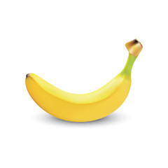 Banana realistic isolated, fruit, Banana Vector illustration, Realistic illustration