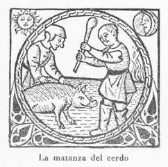 Fototapeta na wymiar Pig Killed 1511. Date: 1511