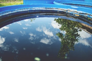 Tree and sky reflection in the water barrel. Vintage look