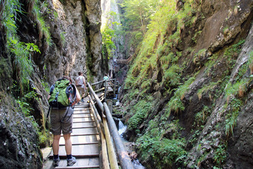 Dr Vogelgesang Klamm