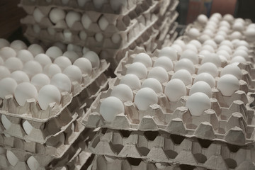 Obraz premium Trays with chicken eggs on storage
