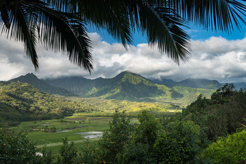 Fototapeta na wymiar Hanalei valley from Princeville overlook Kauai