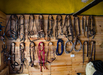 Horse Equipment
