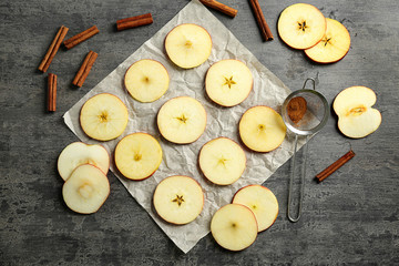 Composition with fresh cut apples and cinnamon prepared for making chips, on grey table