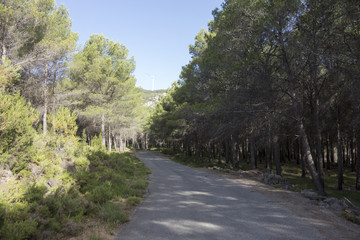 Fototapeta na wymiar Around the village of Pina de Montalgrao in Castellon