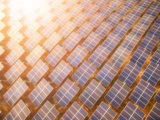Solar panels (solar cell) in solar farm with  sun lighting to create the clean electric power