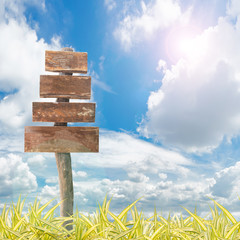 Wooden Signpost with Green grass against blue sky